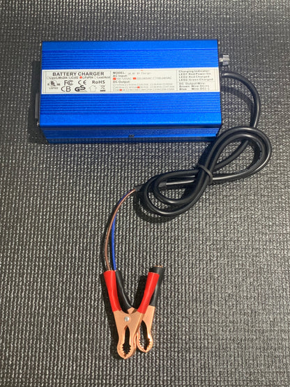16S LFP Trickle Charger, 4A, 58V